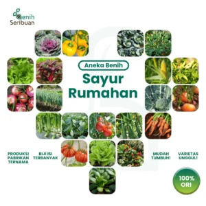 Paket Benih Seribuan Sayur Lengkap – 100+ Varian Unggulan