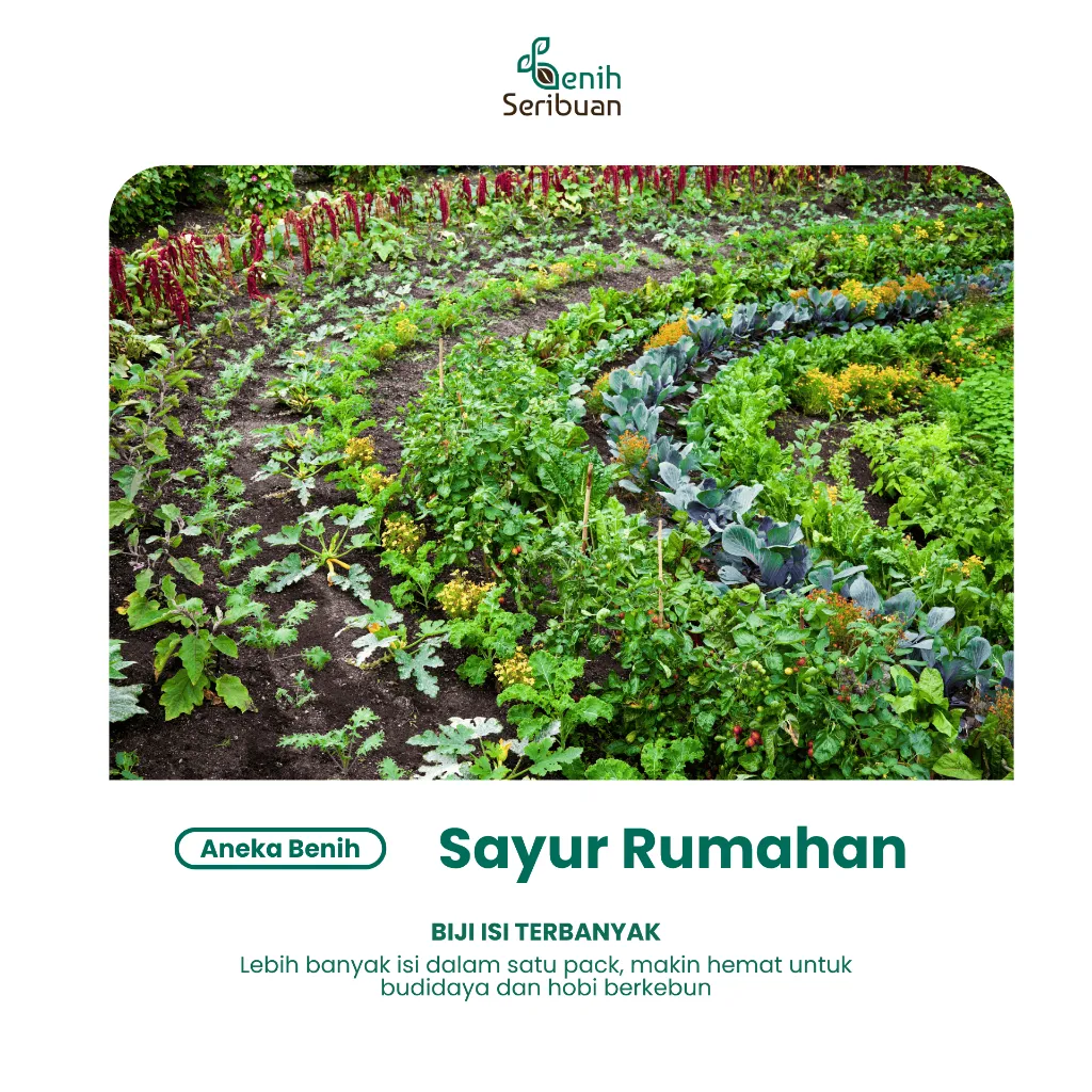 Paket Benih Seribuan Sayur Lengkap – 100+ Varian Unggulan - Image 3