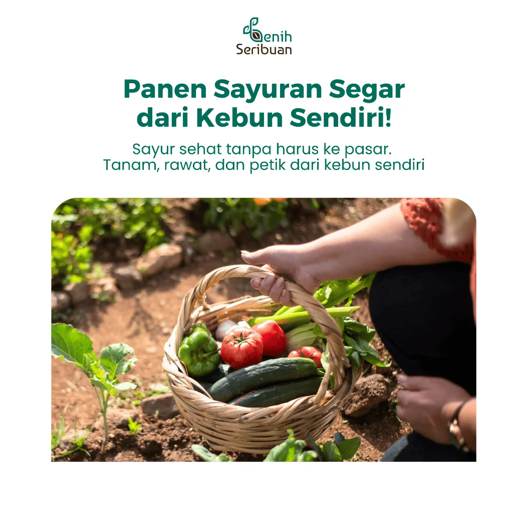 Paket Benih Seribuan Sayur Lengkap – 100+ Varian Unggulan - Image 2