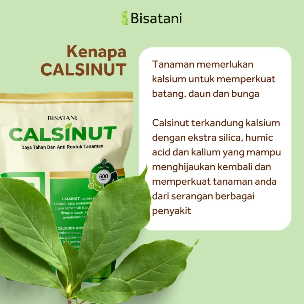 Pupuk Kalsium Plus Silika CALSINUT 1 kg – Cegah Rontok Daun & Bunga - Image 3