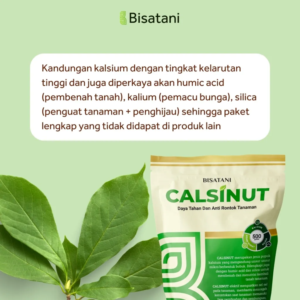 Pupuk Kalsium Plus Silika CALSINUT 1 kg – Cegah Rontok Daun & Bunga - Image 4