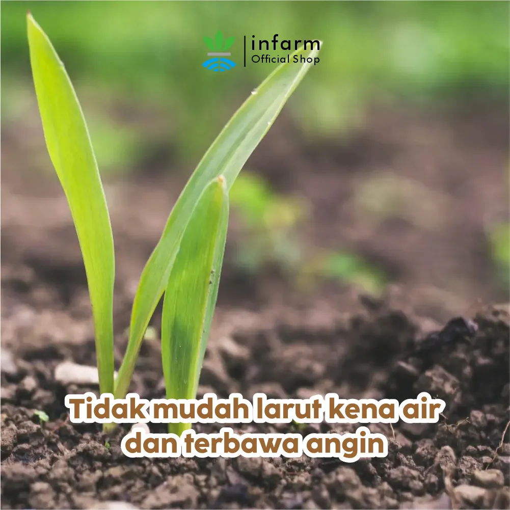 Pupuk Kapur Pertanian Dolomit Grade A 1 kg – Penetral Tanah Asam - Image 4