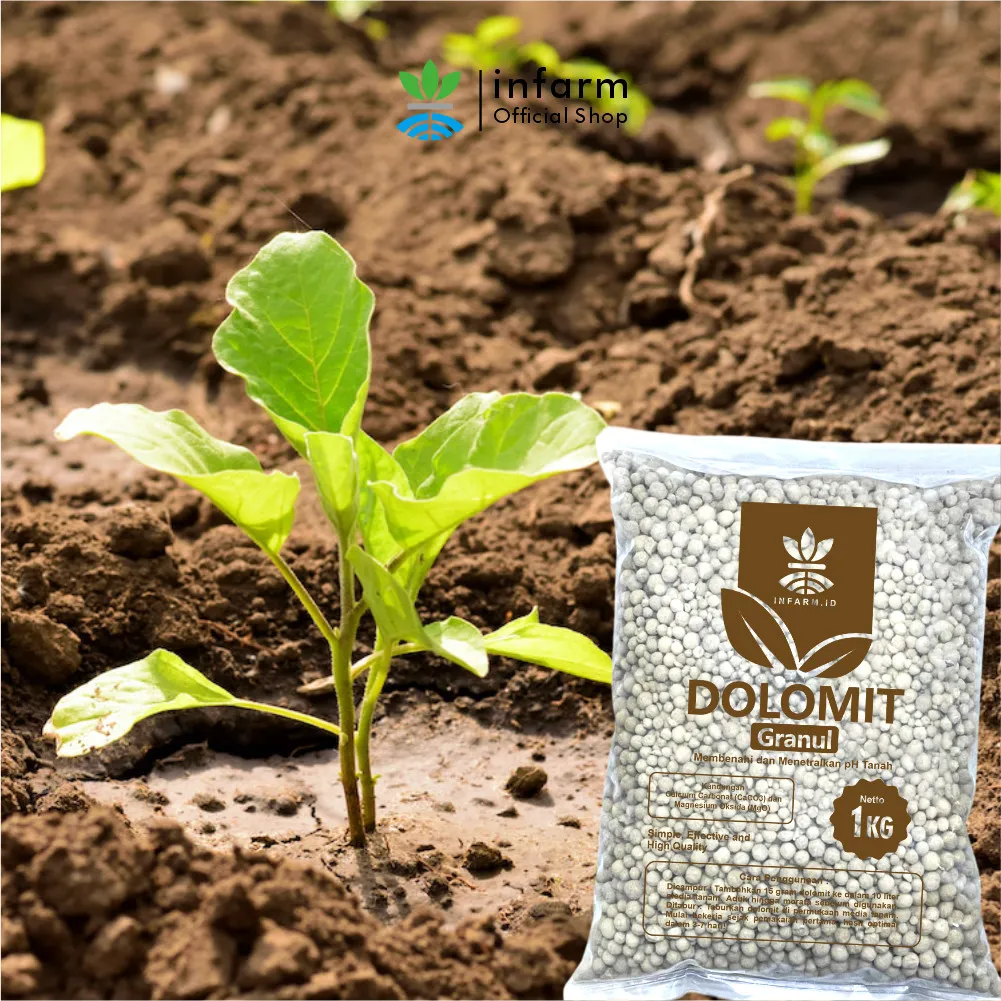 Pupuk Kapur Pertanian Dolomit Grade A 1 kg – Penetral Tanah Asam - Image 2
