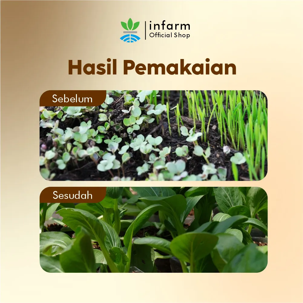 Pupuk Kapur Pertanian Dolomit Grade A 1 kg – Penetral Tanah Asam - Image 3