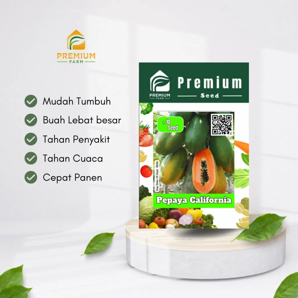 Benih Bibit Pepaya California F1 Super – Isi 10 Biji | Buah Besar, Manis, Daging Renyah - Image 3