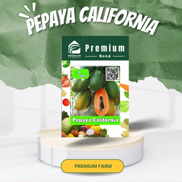 Benih Bibit Pepaya California F1 Super – Isi 10 Biji | Buah Besar, Manis, Daging Renyah