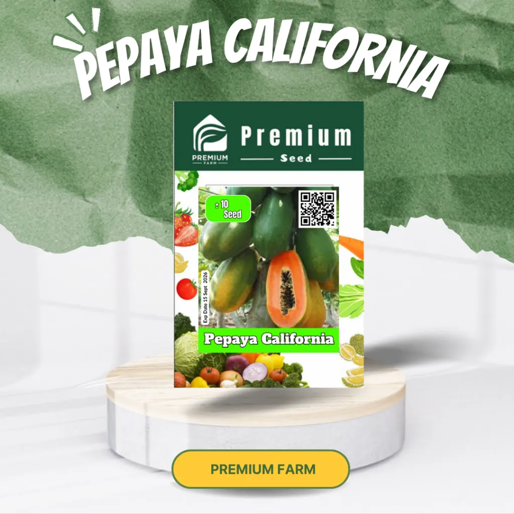 Benih Bibit Pepaya California F1 Super – Isi 10 Biji | Buah Besar, Manis, Daging Renyah