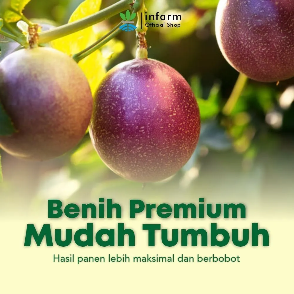 Benih Bibit Markisa Ungu Super Berkualitas – Isi 10 Biji | Infarm Seed Original - Image 2