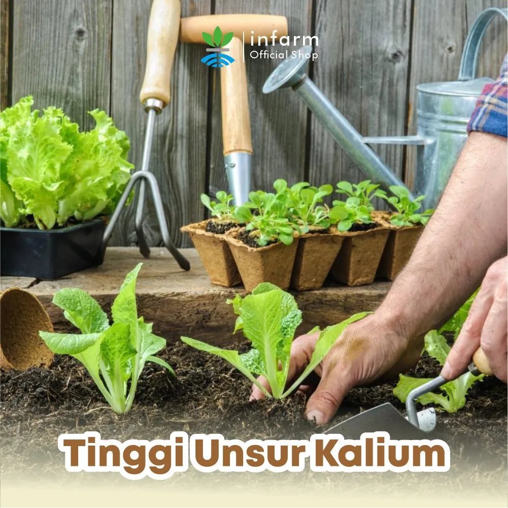 Pupuk Kohe Kambing Organik 1 Liter Kualitas Super - Image 3